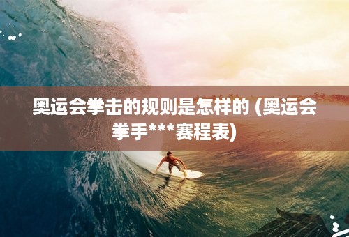 奥运会拳击的规则是怎样的 (奥运会拳手***赛程表)