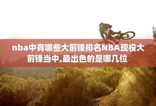 nba中有哪些大前锋排名NBA现役大前锋当中,最出色的是哪几位 