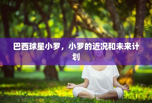 巴西球星小罗，小罗的近况和未来计划