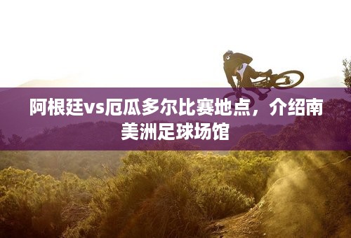 阿根廷vs厄瓜多尔比赛地点，介绍南美洲足球场馆