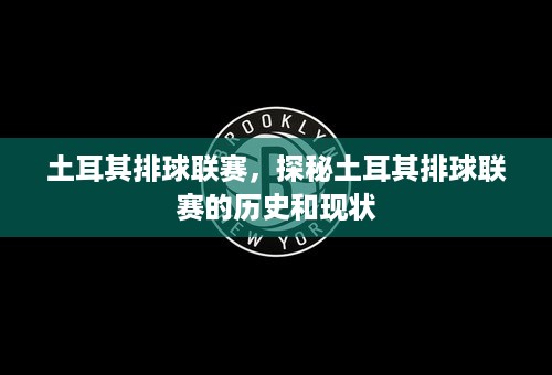 土耳其排球联赛，探秘土耳其排球联赛的历史和现状