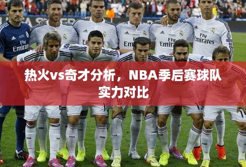 热火vs奇才分析，NBA季后赛球队实力对比