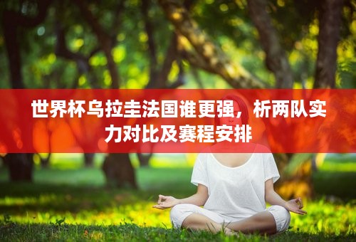 世界杯乌拉圭法国谁更强，析两队实力对比及赛程安排