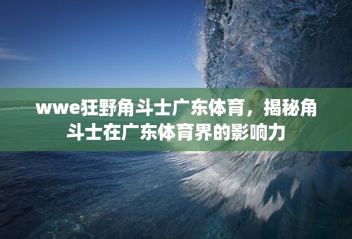 wwe狂野角斗士广东体育，揭秘角斗士在广东体育界的影响力