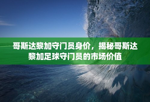 哥斯达黎加守门员身价，揭秘哥斯达黎加足球守门员的市场价值