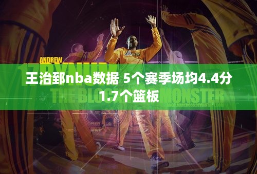 王治郅nba数据 5个赛季场均4.4分1.7个篮板