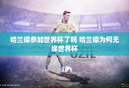 哈兰德参加世界杯了吗 哈兰德为何无缘世界杯