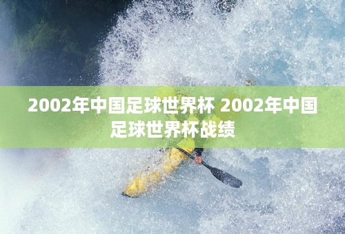 2002年中国足球世界杯 2002年中国足球世界杯战绩