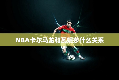 NBA卡尔马龙和瓦妮莎什么关系