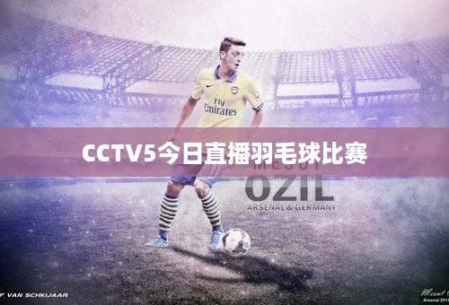 CCTV5今日直播羽毛球比赛