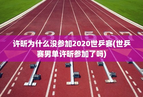 许昕为什么没参加2020世乒赛(世乒赛男单许昕参加了吗)