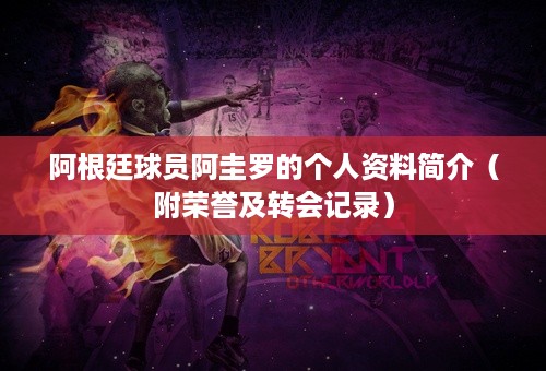 阿根廷球员阿圭罗的个人资料简介（附荣誉及转会记录）