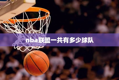 nba联盟一共有多少球队