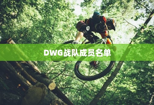 DWG战队成员名单