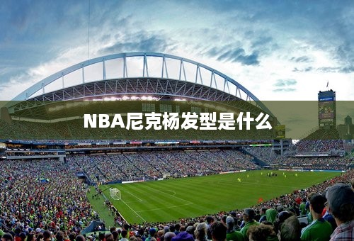 NBA尼克杨发型是什么