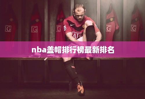 nba盖帽排行榜最新排名