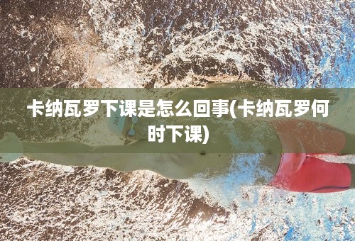 卡纳瓦罗下课是怎么回事(卡纳瓦罗何时下课)