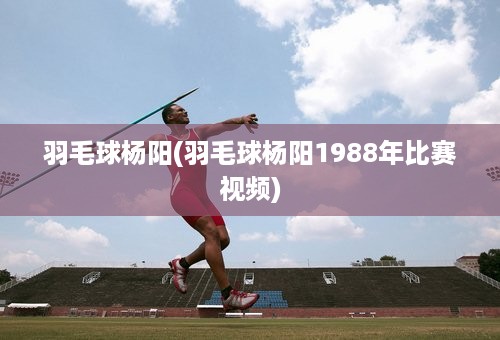 羽毛球杨阳(羽毛球杨阳1988年比赛视频)