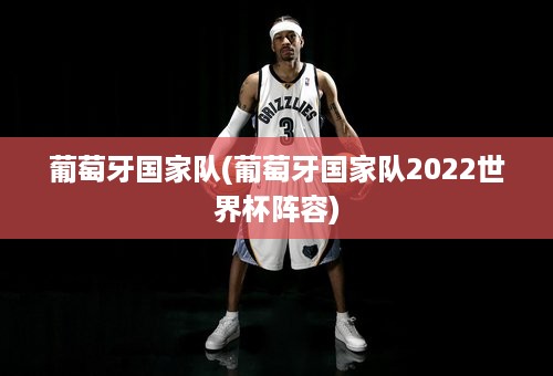 葡萄牙国家队(葡萄牙国家队2022世界杯阵容)