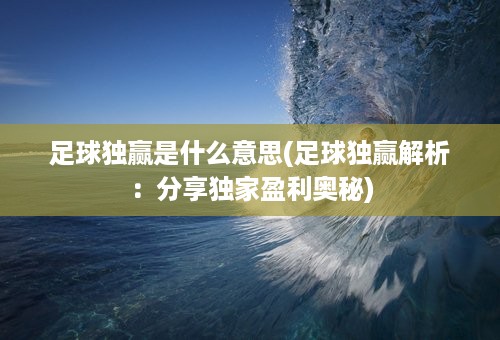 足球独赢是什么意思(足球独赢解析：分享独家盈利奥秘)