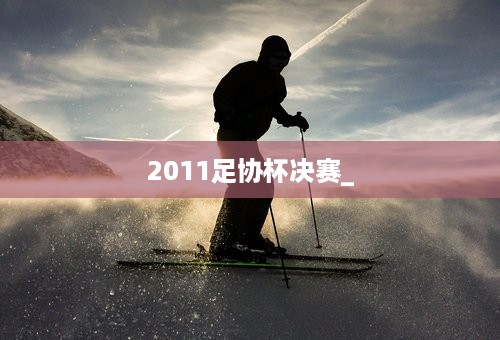 2011足协杯决赛_