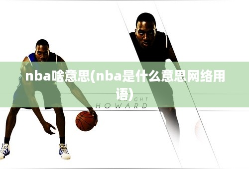 nba啥意思(nba是什么意思网络用语)