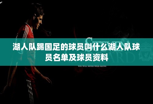 湖人队踢国足的球员叫什么湖人队球员名单及球员资料