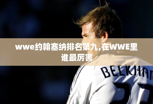 wwe约翰塞纳排名第九,在WWE里谁最厉害