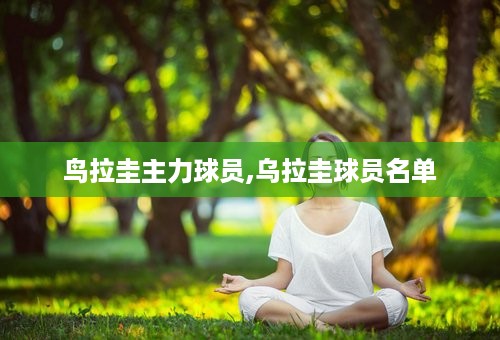 鸟拉圭主力球员,乌拉圭球员名单