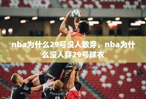 nba为什么29号没人敢穿，nba为什么没人穿29号球衣