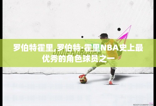 罗伯特霍里,罗伯特·霍里NBA史上最优秀的角色球员之一