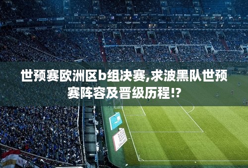 世预赛欧洲区b组决赛,求波黑队世预赛阵容及晋级历程!?