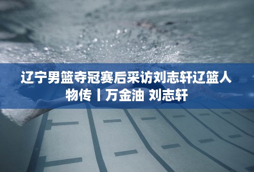 辽宁男篮夺冠赛后采访刘志轩辽篮人物传丨万金油 刘志轩