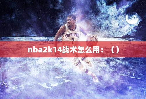 nba2k14战术怎么用：（）