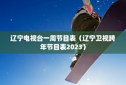 辽宁电视台一周节目表（辽宁卫视跨年节目表2023）