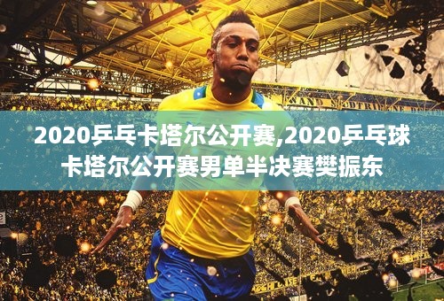 2020乒乓卡塔尔公开赛,2020乒乓球卡塔尔公开赛男单半决赛樊振东