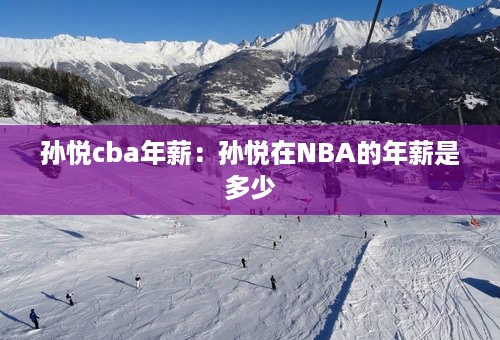 孙悦cba年薪：孙悦在NBA的年薪是多少