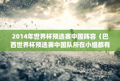 2014年世界杯预选赛中国阵容（巴西世界杯预选赛中国队所在小组都有哪些对手）