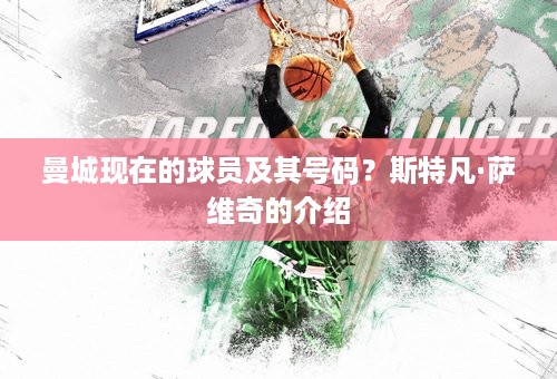 曼城现在的球员及其号码？斯特凡·萨维奇的介绍