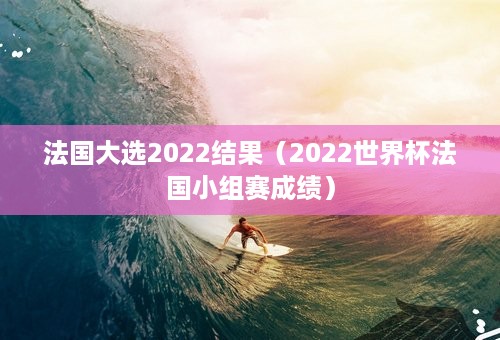 法国大选2022结果（2022世界杯法国小组赛成绩）