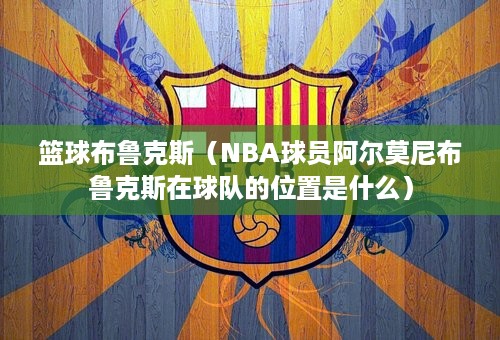 篮球布鲁克斯（NBA球员阿尔莫尼布鲁克斯在球队的位置是什么）