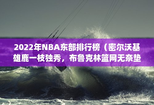 2022年NBA东部排行榜（密尔沃基雄鹿一枝独秀，布鲁克林篮网无奈垫底）