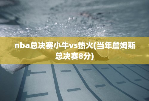 nba总决赛小牛vs热火(当年詹姆斯总决赛8分)