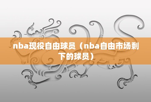 nba现役自由球员（nba自由市场剩下的球员）