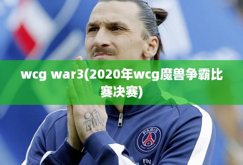 wcg war3(2020年wcg魔兽争霸比赛决赛)