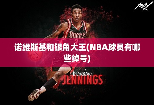 诺维斯基和银角大王(NBA球员有哪些绰号)