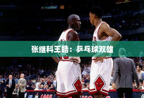 张继科王皓：乒乓球双雄