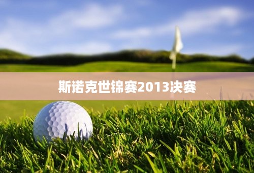 斯诺克世锦赛2013决赛