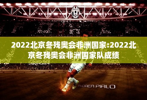 2022北京冬残奥会非洲国家:2022北京冬残奥会非洲国家队成绩