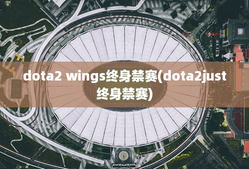 dota2 wings终身禁赛(dota2just终身禁赛)